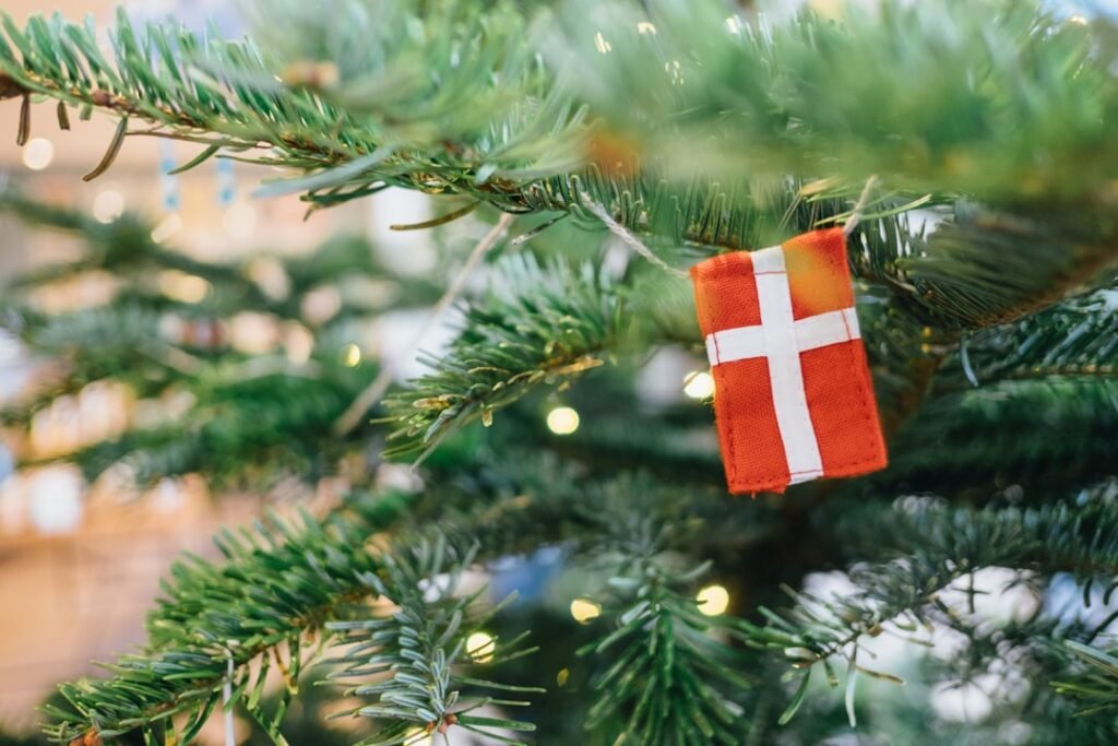 Photo Norwegian flag