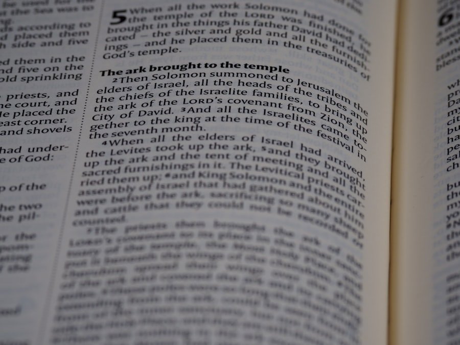 business negotiation vocabulary