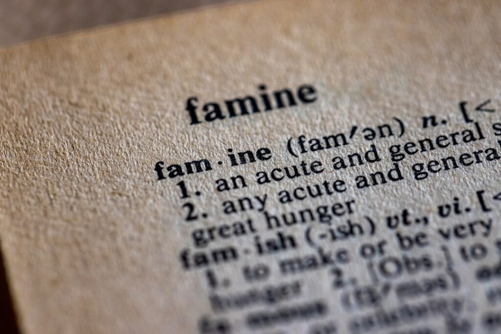 Photo business vocabulary