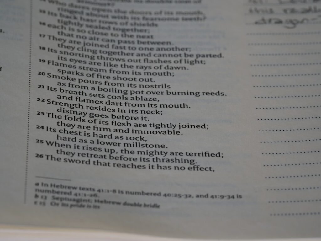 Photo Business English phrases