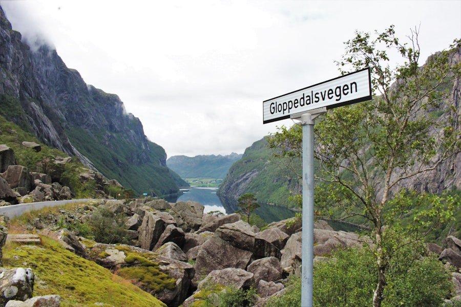 Photo Norwegian language learning roadmap