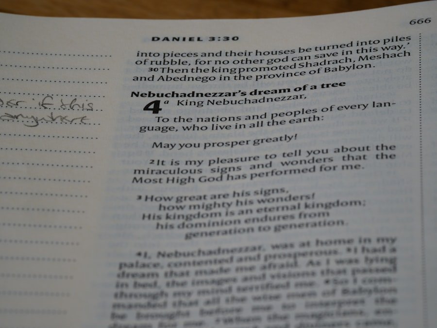 Photo NLS Norwegian Language School